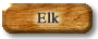 Elk